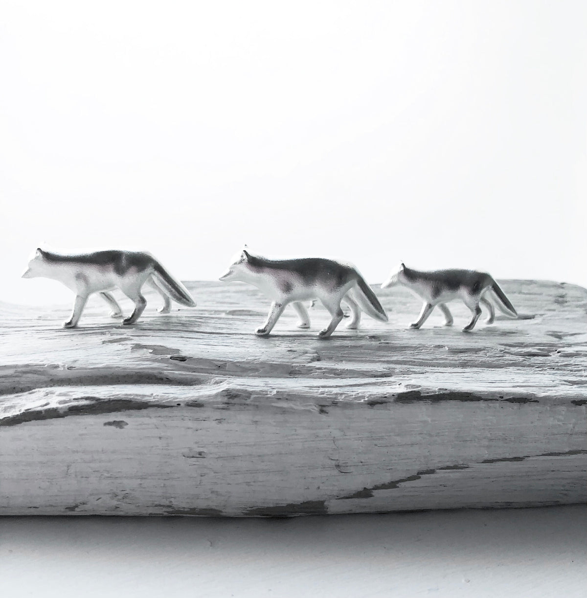 Arctic Fox Miniature